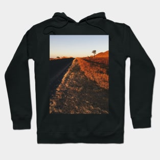 Single Tree in Dry Grassland in Warm Sunset Light Hoodie